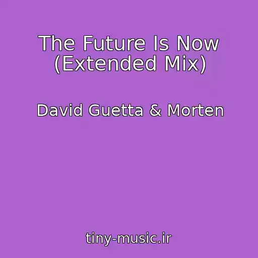 کاور آهنگ The Future Is Now (Extended Mix) از David Guetta & Morten