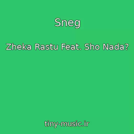 کاور آهنگ Sneg از Zheka Rastu Feat. Sho Nada?