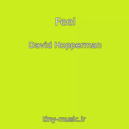 کاور آهنگ Feel از David Hopperman