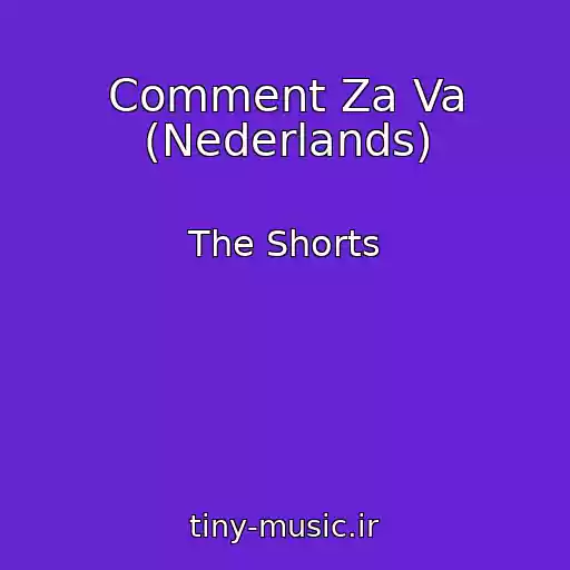 کاور آهنگ Comment Za Va (Nederlands) از The Shorts