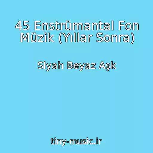 کاور آهنگ 45 Enstrümantal Fon Müzik (Yıllar Sonra) از Siyah Beyaz Aşk