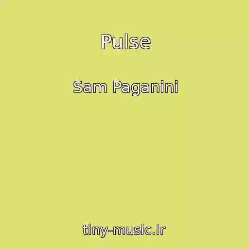 کاور آهنگ Pulse از Sam Paganini
