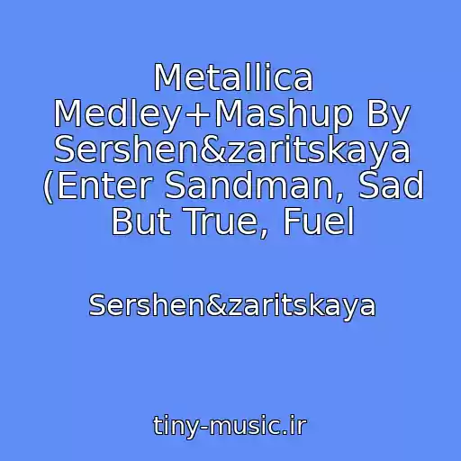 کاور آهنگ Metallica Medley+Mashup By Sershen&zaritskaya (Enter Sandman, Sad But True, Fuel از Sershen&zaritskaya