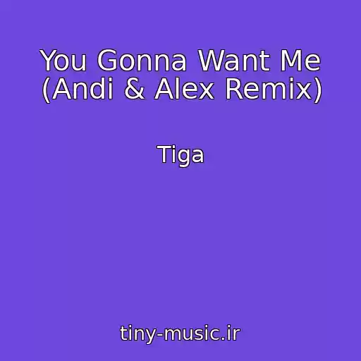 کاور آهنگ You Gonna Want Me (Andi & Alex Remix) از Tiga