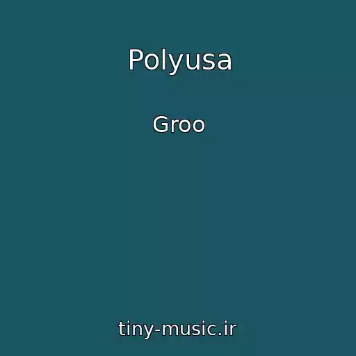 کاور آهنگ Polyusa از Groo