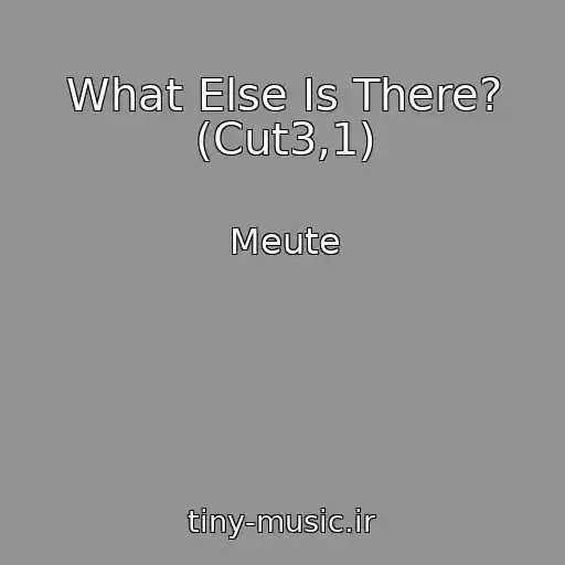 کاور آهنگ What Else Is There? (Cut3,1) از Meute