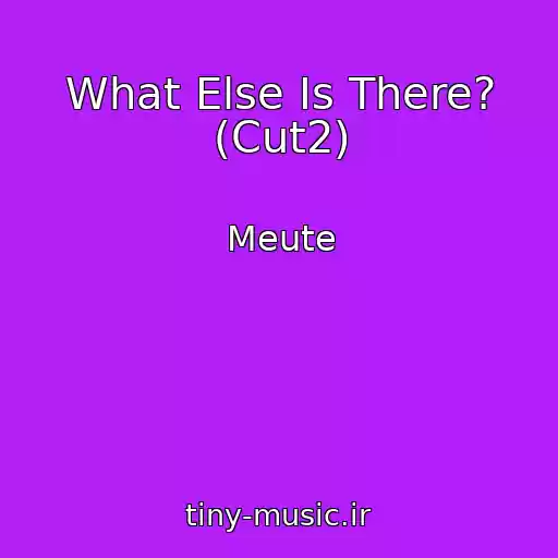کاور آهنگ What Else Is There? (Cut2) از Meute