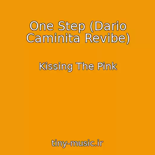 کاور آهنگ One Step (Dario Caminita Revibe) از Kissing The Pink