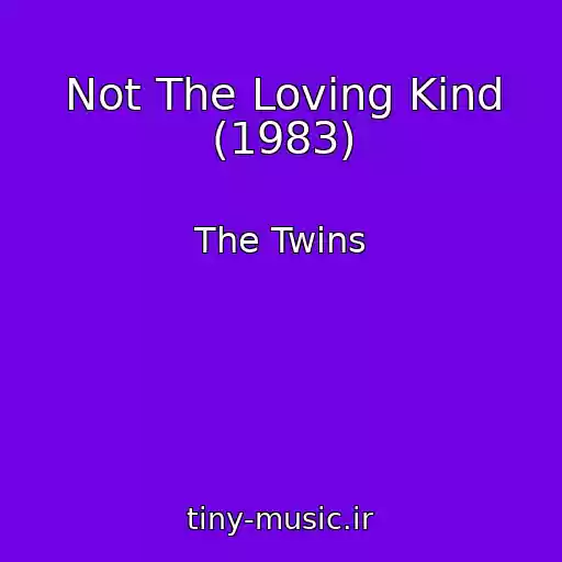 کاور آهنگ Not The Loving Kind (1983) از The Twins