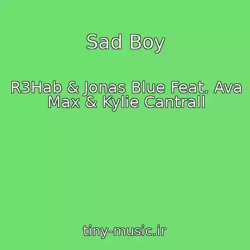 کاور آهنگ Sad Boy از R3Hab & Jonas Blue Feat. Ava Max & Kylie Cantrall