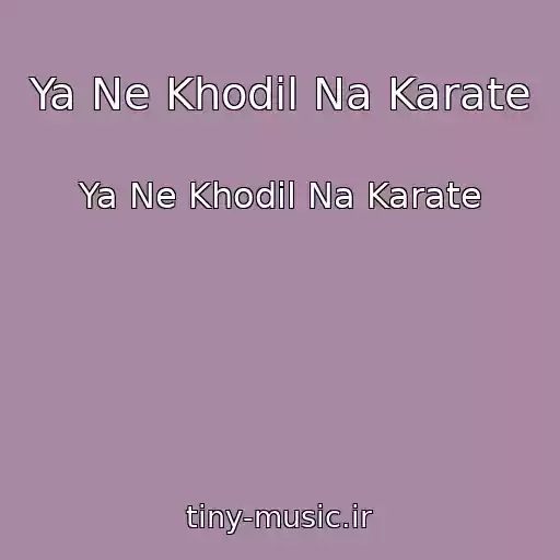کاور آهنگ Ya Ne Khodil Na Karate از Ya Ne Khodil Na Karate