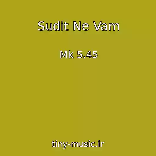 کاور آهنگ Sudit Ne Vam از Mk 5.45