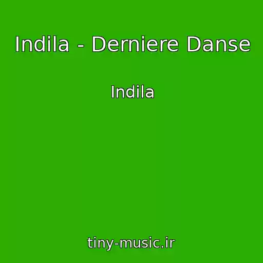 کاور آهنگ Indila - Derniere Danse از Indila