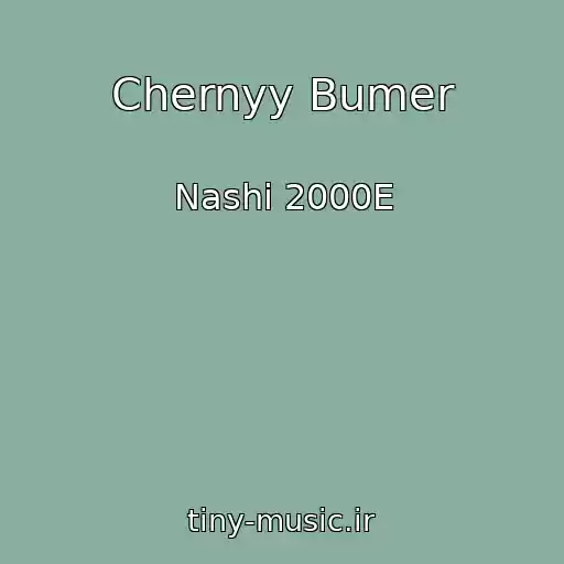کاور آهنگ Chernyy Bumer از Nashi 2000E
