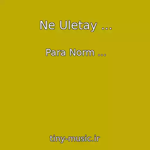 کاور آهنگ Ne Uletay ... از Para Norm ...