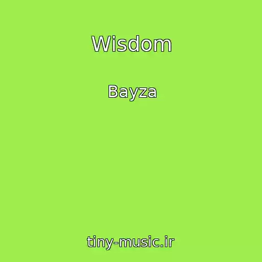 کاور آهنگ Wisdom از Bayza