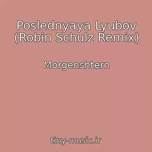 کاور آهنگ Poslednyaya Lyubov (Robin Schulz Remix) از Morgenshtern