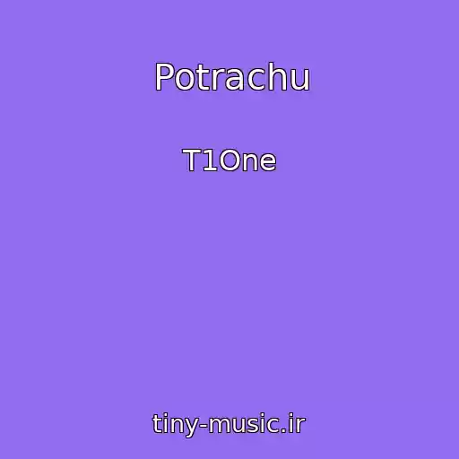 کاور آهنگ Potrachu از T1One
