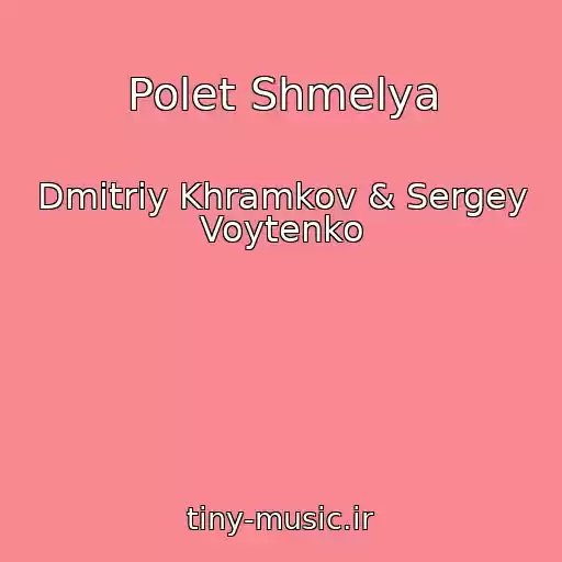 کاور آهنگ Polet Shmelya از Dmitriy Khramkov & Sergey Voytenko