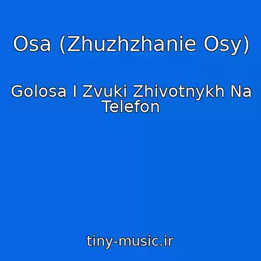 کاور آهنگ Osa (Zhuzhzhanie Osy) از Golosa I Zvuki Zhivotnykh Na Telefon