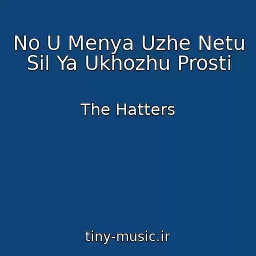 کاور آهنگ No U Menya Uzhe Netu Sil Ya Ukhozhu Prosti از The Hatters
