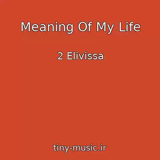 کاور آهنگ Meaning Of My Life از 2 Elivissa
