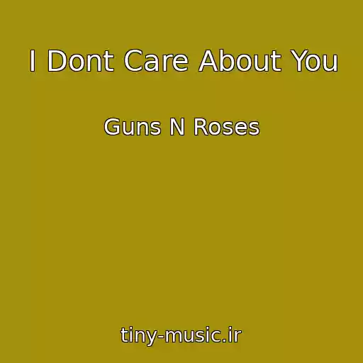 کاور آهنگ I Dont Care About You از Guns N Roses
