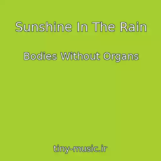 کاور آهنگ Sunshine In The Rain از Bodies Without Organs