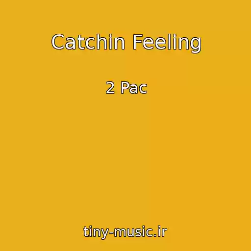 کاور آهنگ Catchin Feeling از 2 Pac