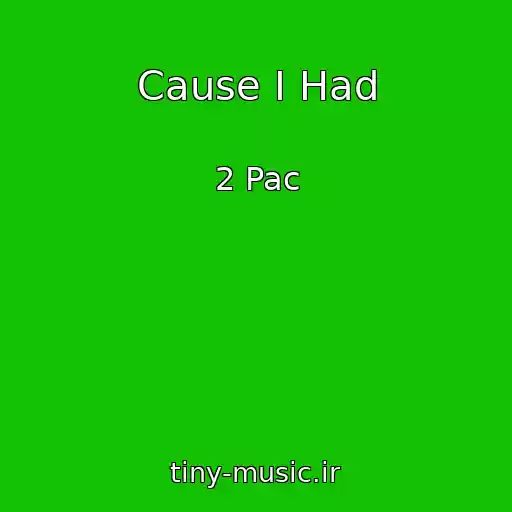 کاور آهنگ Cause I Had از 2 Pac