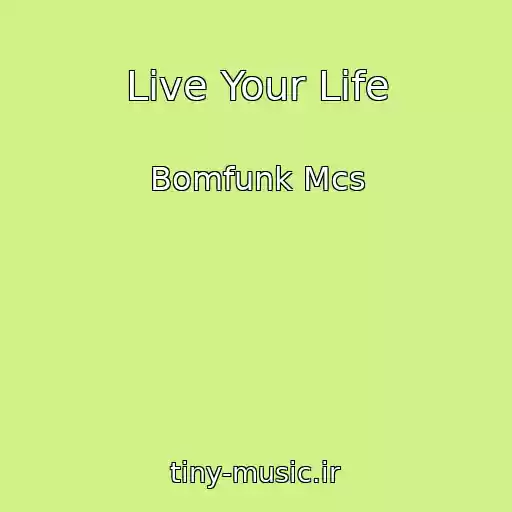 کاور آهنگ Live Your Life از Bomfunk Mcs