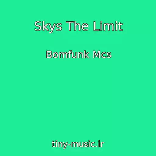 کاور آهنگ Skys The Limit از Bomfunk Mcs