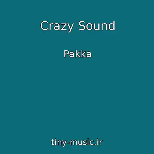 کاور آهنگ Crazy Sound از Pakka