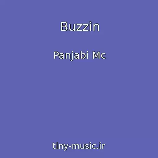 کاور آهنگ Buzzin از Panjabi Mc