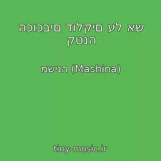 کاور آهنگ הכוכבים דולקים על אש קטנה از משינה (Mashina)