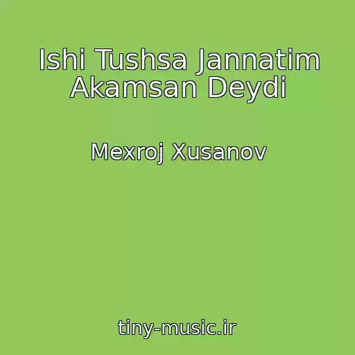 کاور آهنگ Ishi Tushsa Jannatim Akamsan Deydi از Mexroj Xusanov