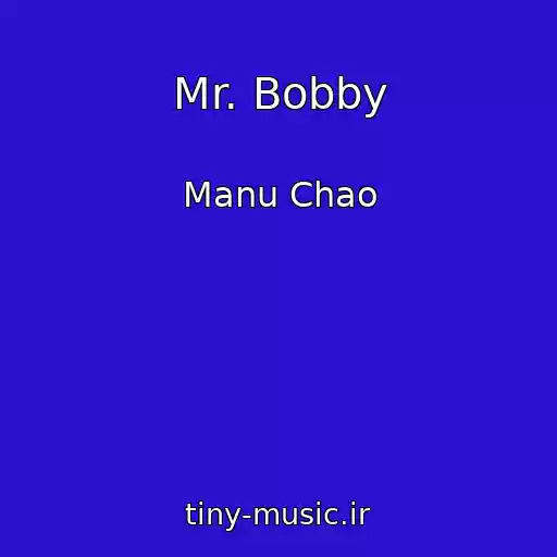 کاور آهنگ Mr. Bobby از Manu Chao