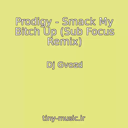 کاور آهنگ Prodigy - Smack My Bitch Up (Sub Focus Remix) از Dj Gvozd