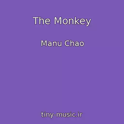 کاور آهنگ The Monkey از Manu Chao