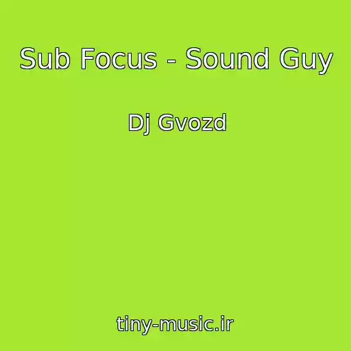 کاور آهنگ Sub Focus - Sound Guy از Dj Gvozd