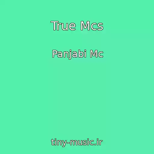 کاور آهنگ True Mcs از Panjabi Mc
