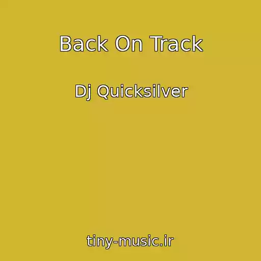 کاور آهنگ Back On Track از Dj Quicksilver