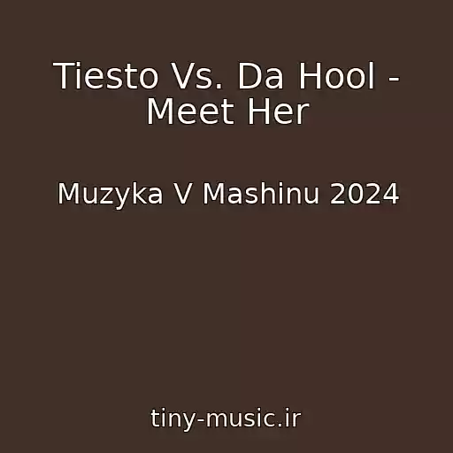 کاور آهنگ Tiesto Vs. Da Hool - Meet Her از Muzyka V Mashinu 2024