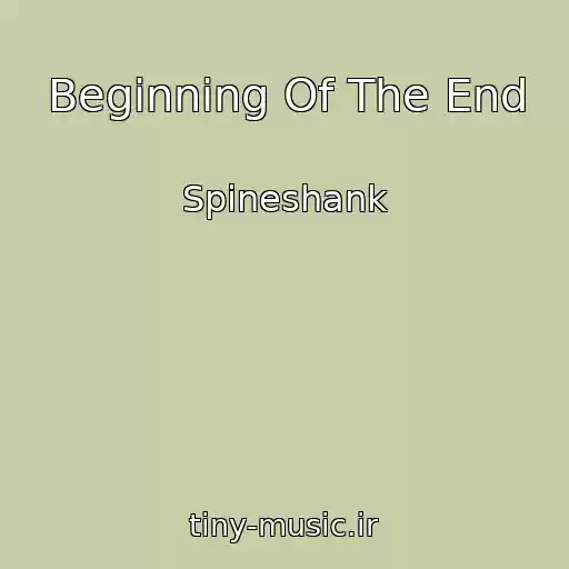 کاور آهنگ Beginning Of The End از Spineshank