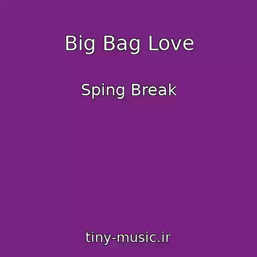 کاور آهنگ Big Bag Love از Sping Break