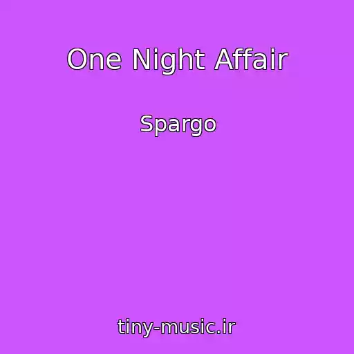 کاور آهنگ One Night Affair از Spargo