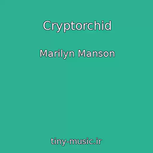 کاور آهنگ Cryptorchid از Marilyn Manson