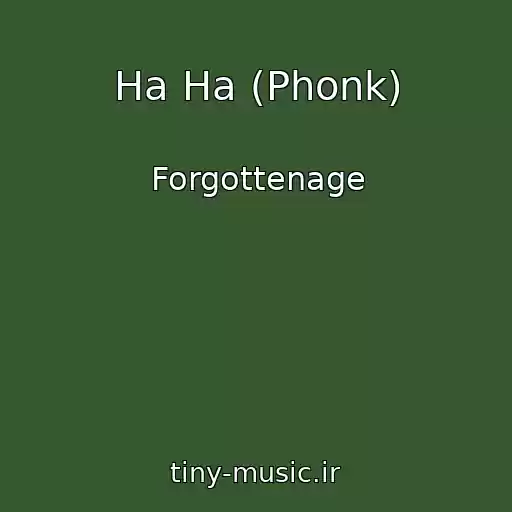کاور آهنگ Ha Ha (Phonk) از Forgottenage