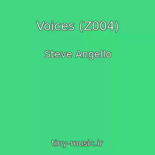 کاور آهنگ Voices (Z004) از Steve Angello