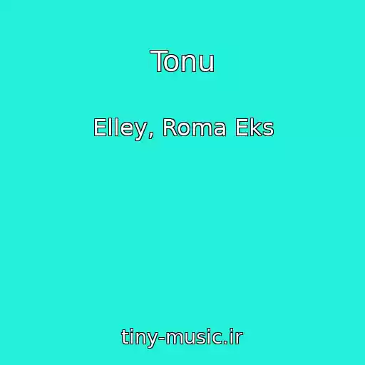 کاور آهنگ Tonu از Elley, Roma Eks